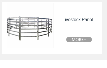 ভারী দায়িত্ব গ্যালভানাইজড ইস্পাত ব্যারিকার্ড কনসার্ট কম রক্ষণাবেক্ষণ 18