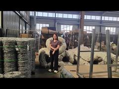 অ্যান্টি ক্লাইম্বিং বেড়ার উপরে কাঁটাতারের প্যাকেজিং