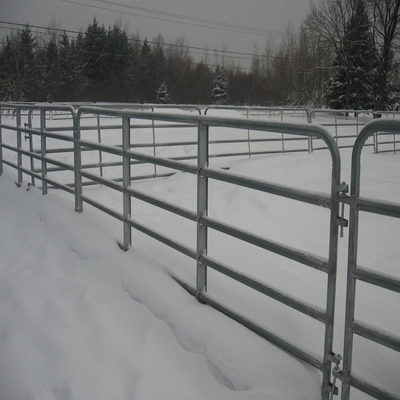 সস্তা galvanized গবাদি পশুর গজ ঘোড়া বেড়া কোরাল প্যানেল, গবাদি পশু প্যানেল